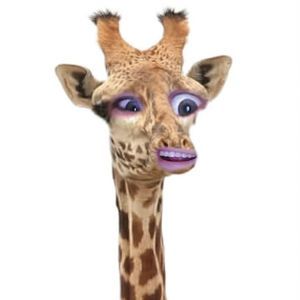 Meet your Posher, Marissa